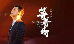 等着我2016在线观看,感人故事汇聚，温情回顾